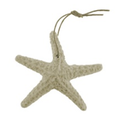 ESTRELLA DE MAR EN ARENA